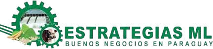 Estrategias ML · Subimos negocios en Paraguay
